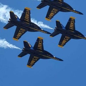 Meet your Posher, Judy